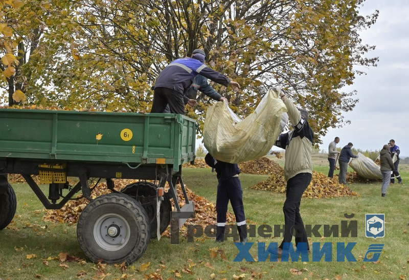 4566768798090 (7).jpg